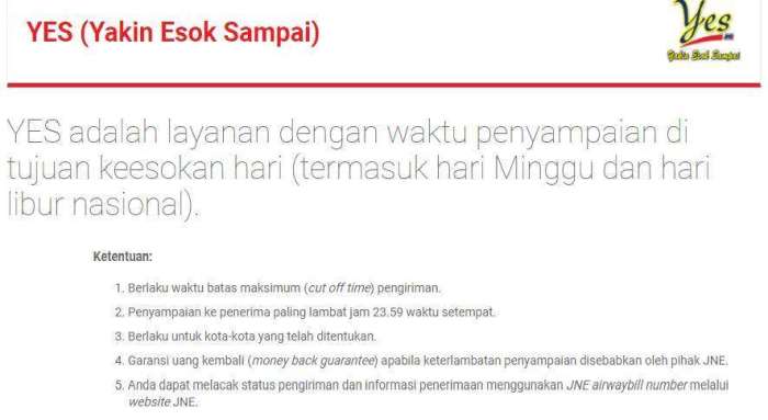 Mengapa Cek Resi JNE YES Sangat Penting untuk Bisnis Online di Indonesia?