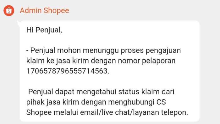 Apa yang Harus Dilakukan Jika Resi JNE Trucking Shopee Anda Tidak Update Setelah Natal?