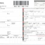 Dhl waybill international complete doc usa data