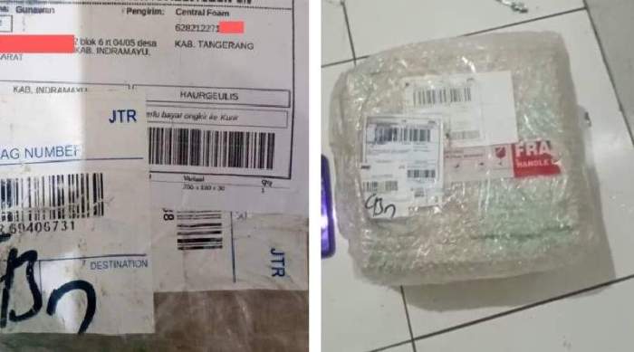 Cara Praktis Lacak Paket JNE JTR Anda di Indonesia Selama Periode Natal