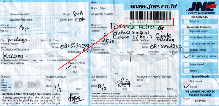 5 Kesalahan Umum Saat Cek Resi JNE dengan Nama dan Cara Mengatasinya